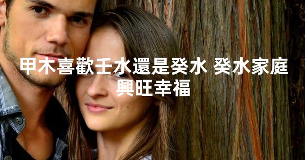 甲木喜歡壬水還是癸水 癸水家庭興旺幸福